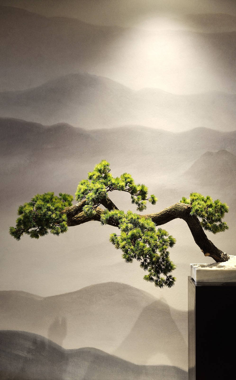 南昌國際金融中心寫字樓(圖2)