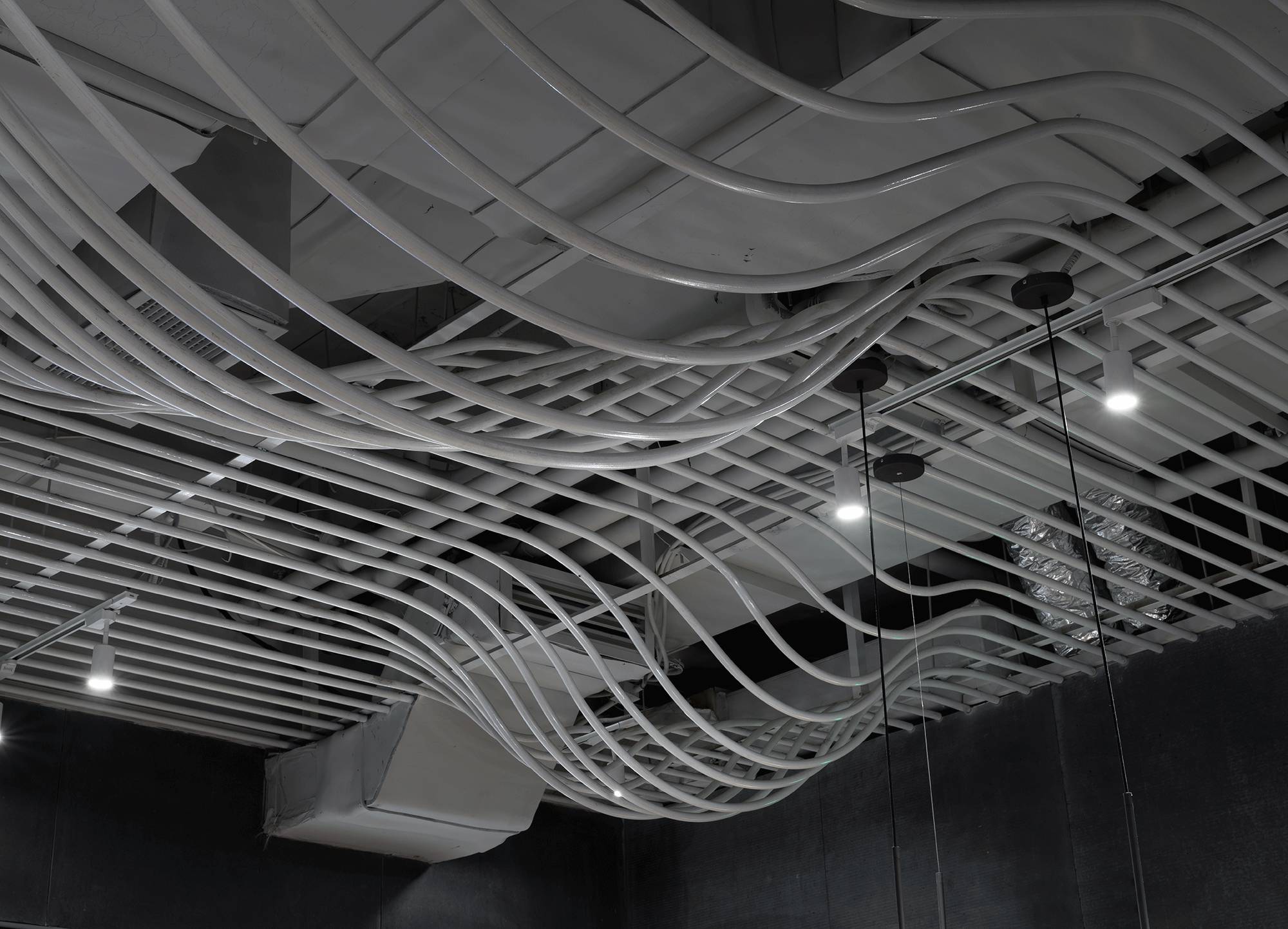 孟非的小面(圖14)